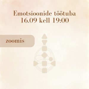Emotsioonide töötuba